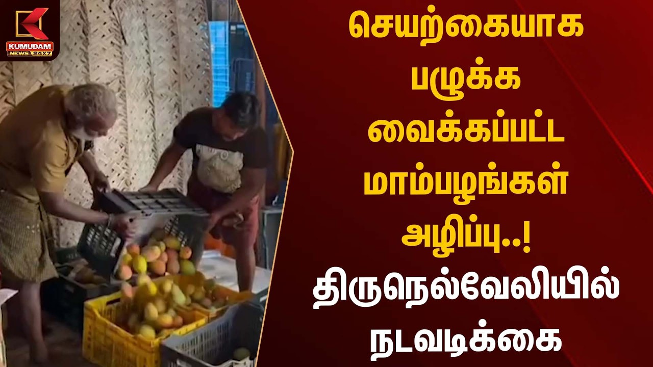 செயற்கையாக பழுக்க வைக்கப்பட்ட மாம்பழங்கள் அழிப்பு..! திருநெல்வேலியில் நடவடிக்கை | Kumudam News