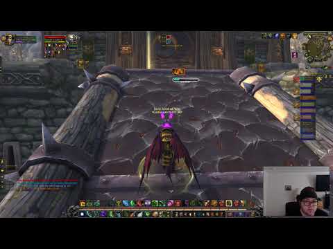 Havoc demon hunter pvp 7.3.5 a rare brewmaster appears!
