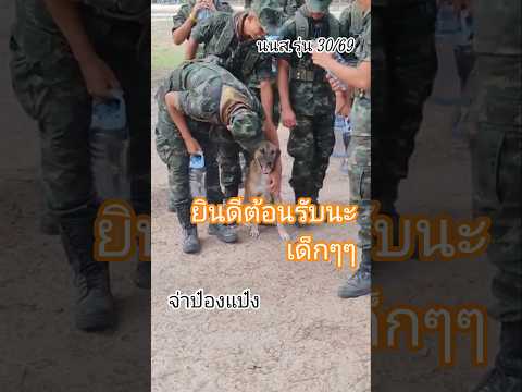 \จ่าป๋องแป๋ง ยินดีต้อนรับ นนส.รุ่น30/69\ ช่วงพักเบรก ทำความคุ้นเคยกันนะจ๊ะ#ทหารไทย#army#หมา#dog