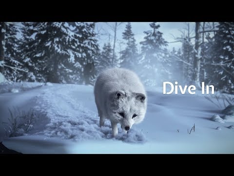 Arctic Fox presents Dive In