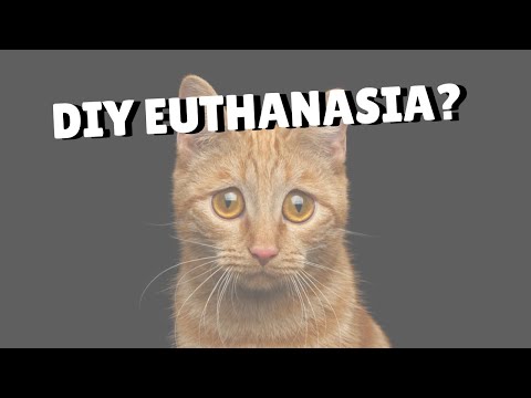 Euthanizing Your Own Cat? | Two Crazy Cat Ladies