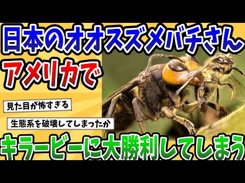 一般的な在来種のマルハナバチ 7 種 自然と動物