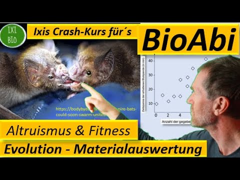 Anwendungsaufgabe zu Evolution - Altruismus und Fitnesskonzept - ultimate Betrachtung von Verhalten