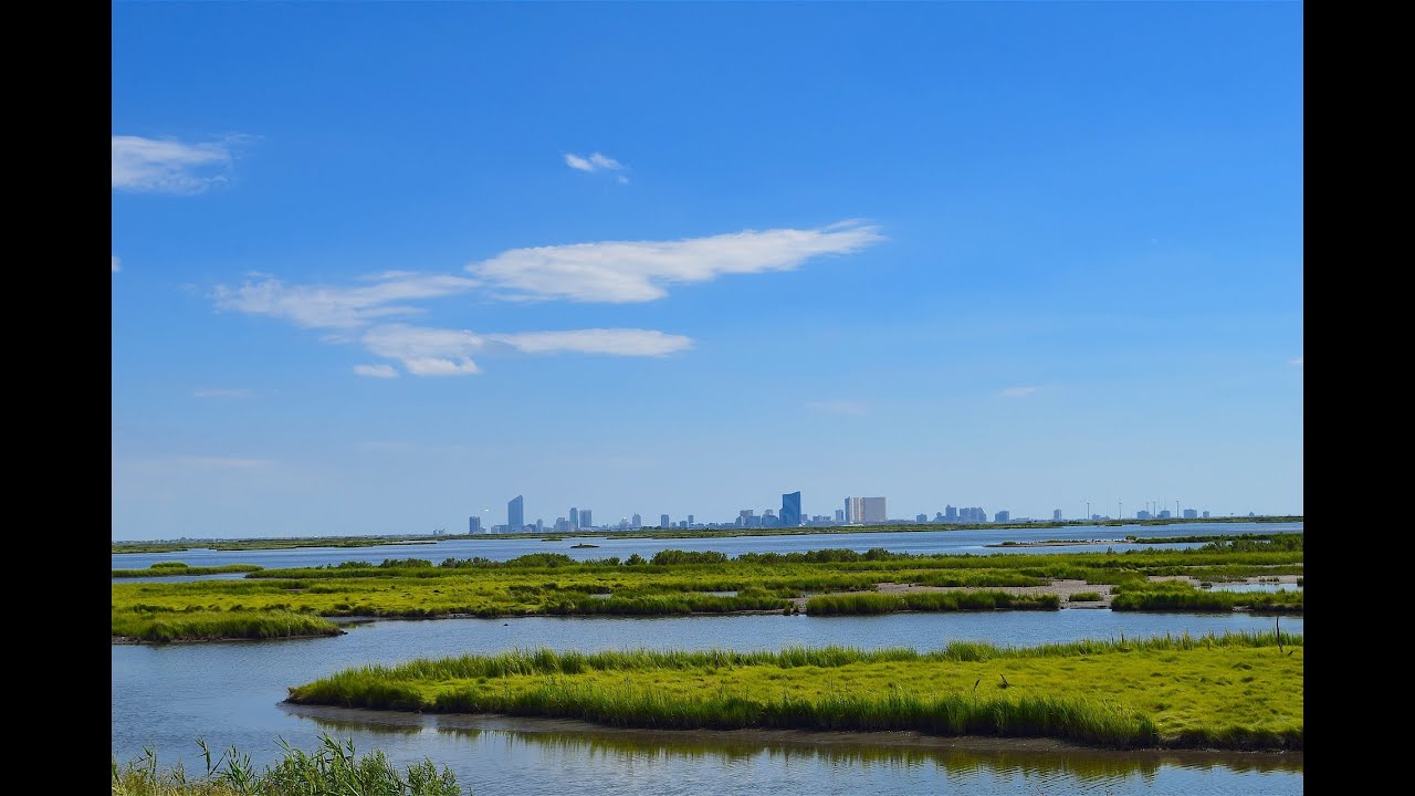 BNCFF: Coastal Nature-based Solutions and Green-Gray infrastructure webinar