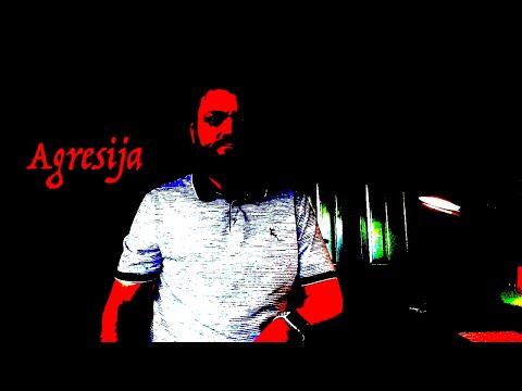 Agresija šeimoje, mokykloje, pasaulyje.  Kodėl?