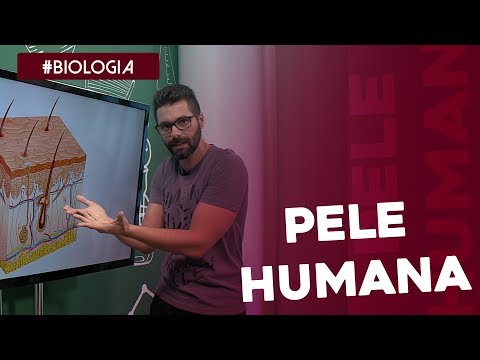 Biologia: a pele humana por Samuel Cunha