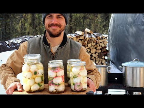 Pickled Eggs | Preserving the Perfect Snack
