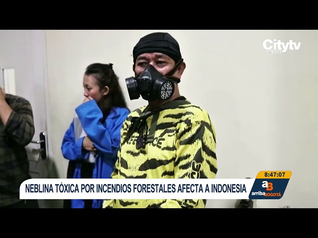 Cápsula informativa: ONU alerta por la intensidad de El Niño 