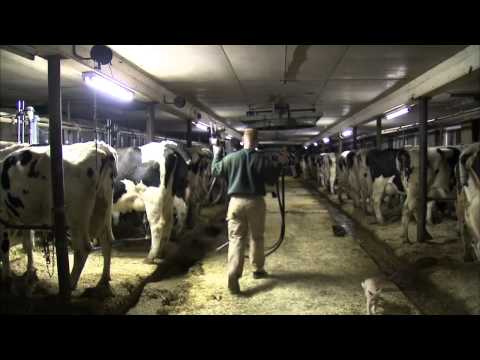 Lyandon Warren-missionary dairy farmer