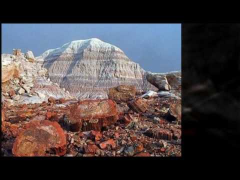 Painted Desert & Petrified Forest