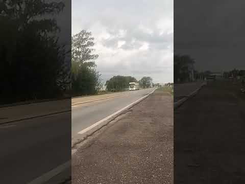 Laboulaye ( Cordoba ) los amigos jauleros a pleno antes de que llueva más !! ❤️