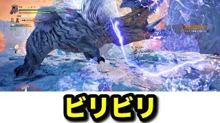 【MHWI】アンジャナフ亜種の攻撃でそろそろ防具の限界に気づいてしまった  Part.16【モンスターハンターワールドアイスボーン】