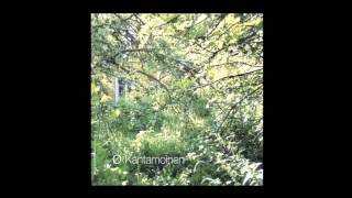 Ø (Mika Vainio) | Galaksit / Galaxies [Sähkö 2005]