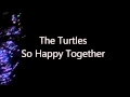 The Turtles So Happy Together 