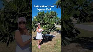 Райский остров Оушен Кей #oceancay #caribbean #mscseaside #umarkeyn #cruisetour