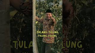 Download lagu Kata kata hari ini dari pak RT bikin kocak #shorts #kocak #fyppp #ngakak mp3