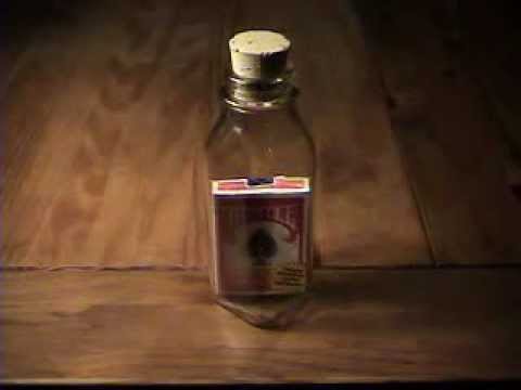 Anything Is Possible Bottle by Jamie D. Grant