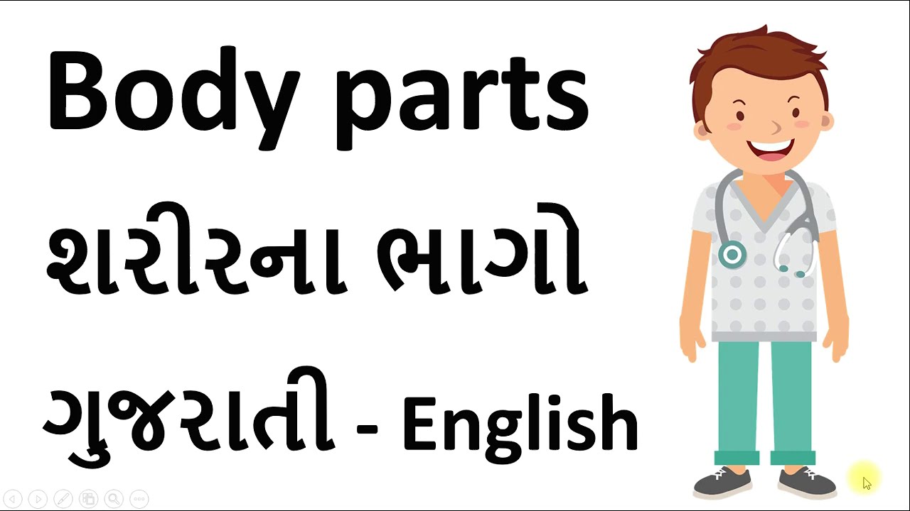 શરીરના અંગો In Gujarati and English | Human body parts | શરીર ના ભાગો નો પરિચય