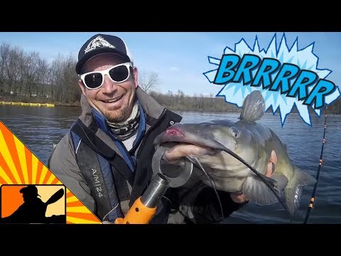 Cold Water Catfish!