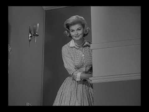 Leave It To Beaver  - S05E16 - Beaver, The Bunny