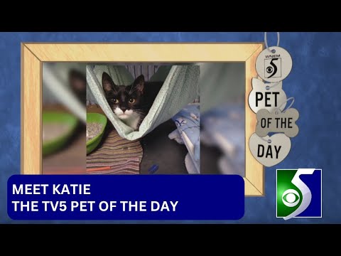 Meet the TV5 pet of the day