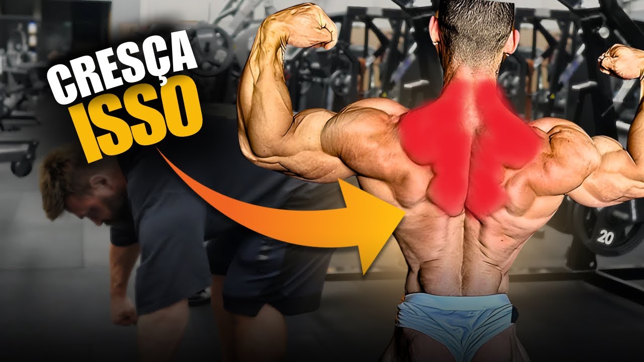 OS 3 ÚNICOS EXERCICIOS QUE VOCÊ PRECISA PARA CRESCER A PARTE ALTA DAS COSTAS