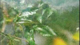 Justus Köhncke - $26