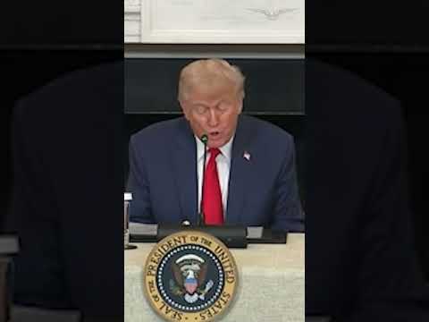 Trump champions $1,000 'Trump accounts' for children during roundtable with CEOs