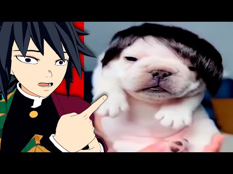 TIKTOKS SO XD THAT THEY MADE ME EMO