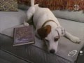 Wishbone A Tail In Twain Part 1 S01E01