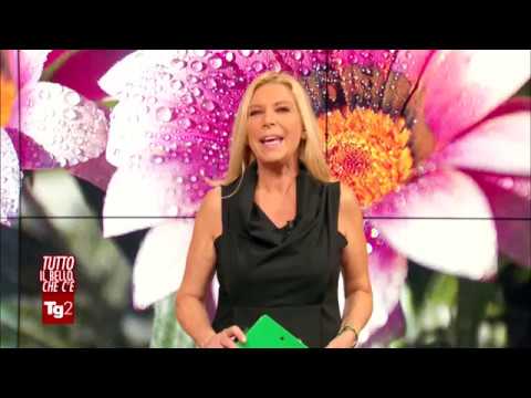 San Martino di Liciorno, il campanile nel bosco- Servizio di Emanuela Pericu