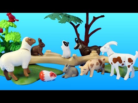 Playmobil City Children's Petting Zoo Toy Animals Building Set Build Review