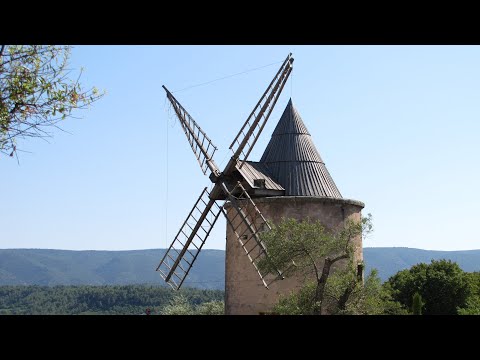 Video vignette
