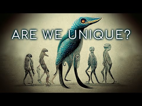 Would Life Really Develop Differently on Another Planet? | Convergent Evolution
