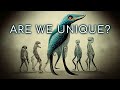 Would Life Really Develop Differently on Another Planet? | Convergent Evolution