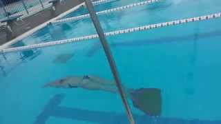 Xristinaki Michalopoulou O2freediving New talent. First DYN try..