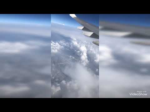 10 сентября 2019 г.