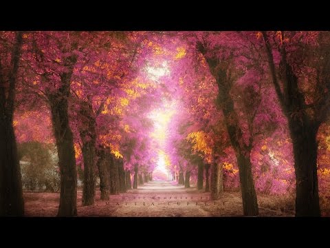 1 Hour Of The Most Beautiful Emotional Orchestral Music Video
