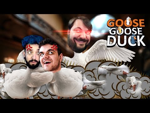 GOOSE GOOSE DUCK: A PIOR PARTIDA DA HISTÓRIA ONDE TODO MUNDO FOI BURRO! c/ Gabs, Core, MrGuinas e +