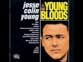 Jesse Colin Young - Green Hill Mountain Home (1965)