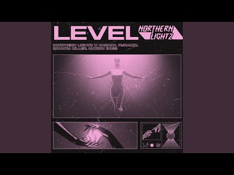 Level (feat. Nation Boss)