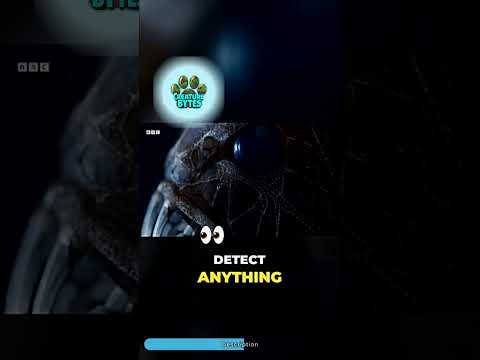 Meet the Fangtooth — Deep Sea’s Scariest Fish! #shorts