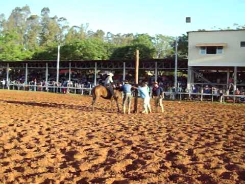 vaguiner romero x jagal rodeiho de santo angelo