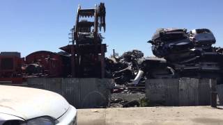 Auto Grave yard