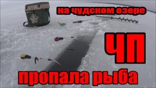 Ссылка