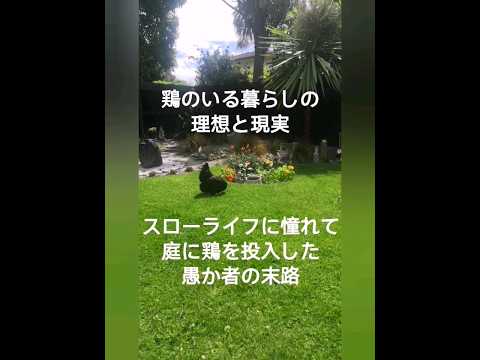 鶏に合う酢は何ですか