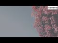 The Smiths - Unlovable Lyric Video