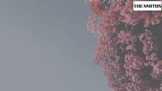 The Smiths - Unlovable Lyric Video