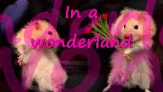 Love won't let me wait w/ lyrics - Major Harris