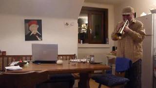 Video thumbnail for Vintage Selmer Grand Prix Trumpet  Part 2 by bornmusician